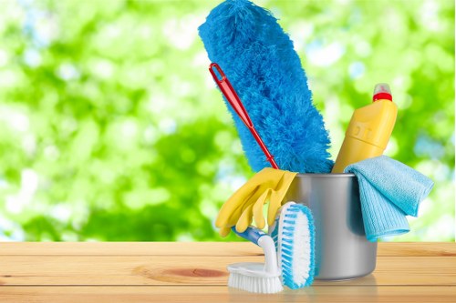 Professional upholstery cleaning in Greenwich for a fresh sofa