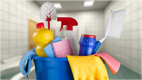 Professional carpet cleaning service terms and conditions document