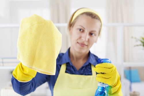 Illustration of accessible website content for Greenwich Carpet Cleaners
