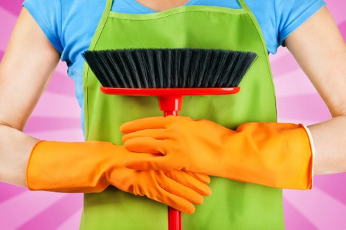 Deep cleaning a mattress to remove dust and stains in Greenwich