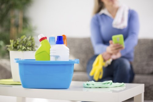 Professional sofa cleaning in Greenwich for a fresh living room