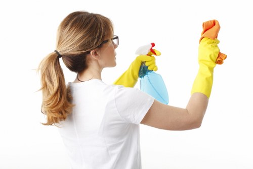 Transparent carpet cleaners pricing explanation